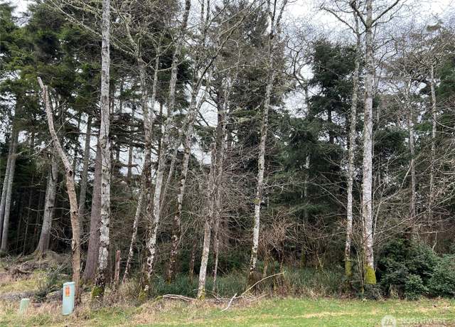 Property at 314 Lake View Loop NE, Ocean Shores, WA 98569