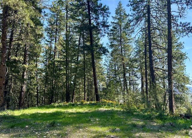 Property at 13 Sundance Ln, Winthrop, WA 98862