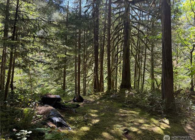Property at 0 L 139 E Cascade Dr, Marblemount, WA 98267