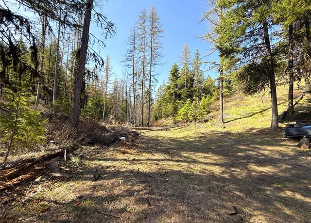 Property at 0 TBD Give Out Creek Rd, Wauconda, WA 98859