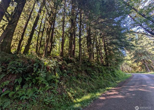 Property at 99991 Dowans Creek Rd, Forks, WA 98331