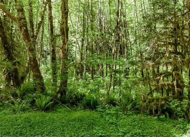 Property at 99992 Dowans Creek Rd, Forks, WA 98331
