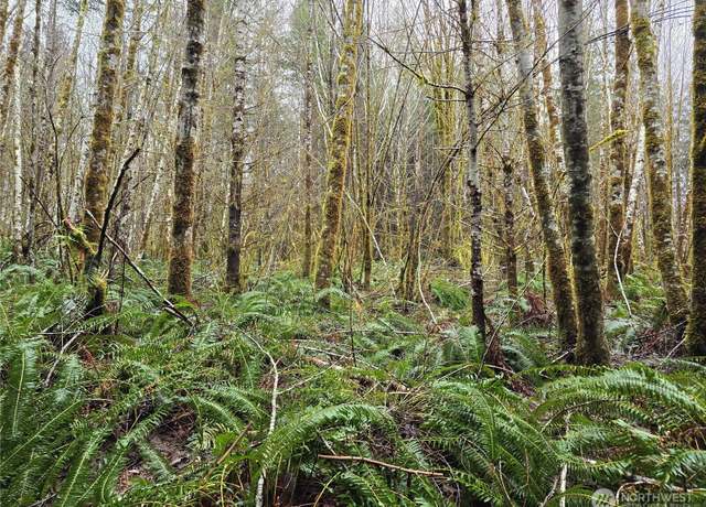 Property at 0 Lot 4 W Elk Hill Rd, Elma, WA 98541