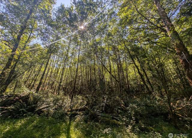 Property at 99993 Dowans Creek Rd, Forks, WA 98331