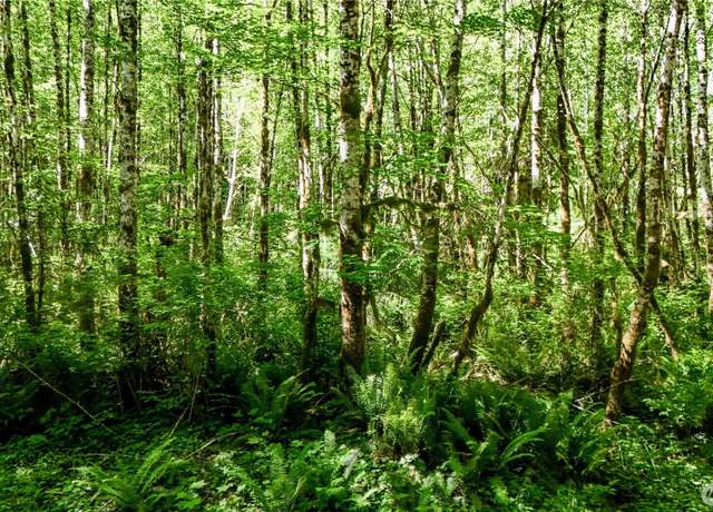 Property at 99993 Dowans Creek Rd, Forks, WA 98331