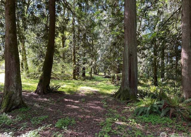 Property at 0 NKA SE 47th St, Snoqualmie, WA 98065