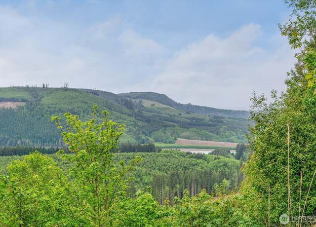 Property at 0 X 2500 Rd, Toutle, WA 98649