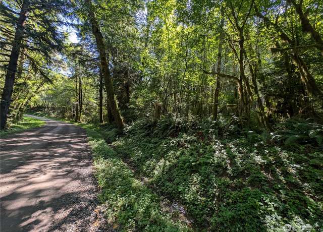 Property at 99994 Dowans Creek Rd, Forks, WA 98331