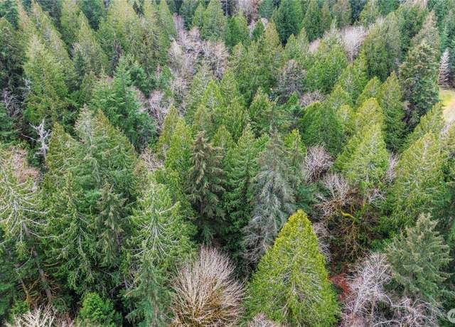 Property at 2902 136th St NW, Gig Harbor, WA 98332