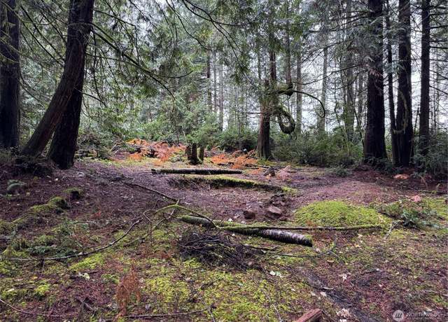 Property at 16616 74th St NW, Vaughn, WA 98394