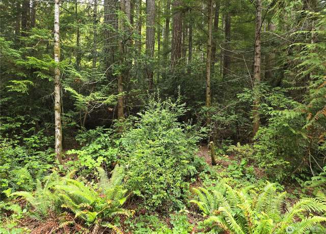 Property at 41 N Paradise Dr, Lilliwaup, WA 98555