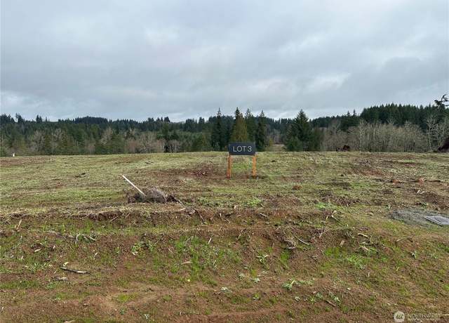Property at 207 Ash Mountain Dr, Castle Rock, WA 98611