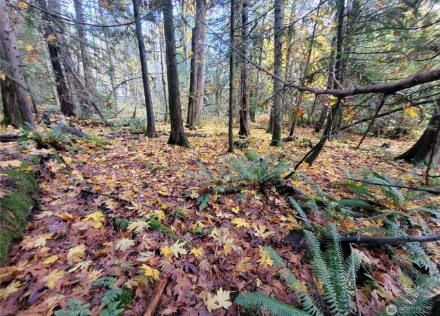 Property at 5376 Reese Hill Rd, Sumas, WA 98295