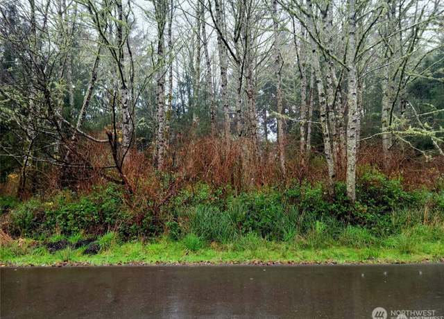 Property at 821 Duck Lake Dr NE, Ocean Shores, WA 98569