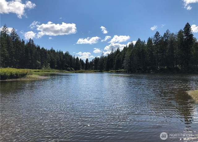Property at 0 W Clear Lake- LOT 26, Shelton, WA 98584