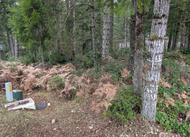 Property at 80 E Hemlock, Union, WA 98592