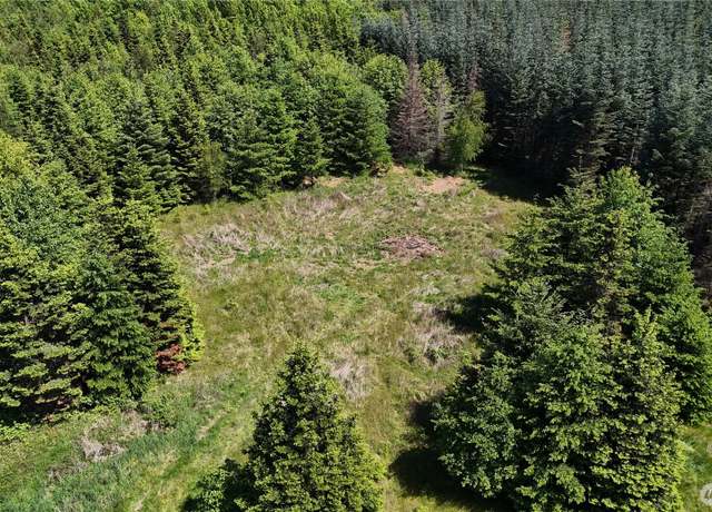 Property at 18820 Roseburg St SW, Rochester, WA 98579