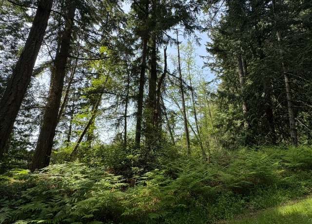 Property at 11106 Spruce Dr, Anderson Island, WA 98303