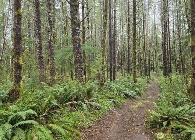 Property at 0 End of Greenwood Rd, Hoquiam, WA 98550
