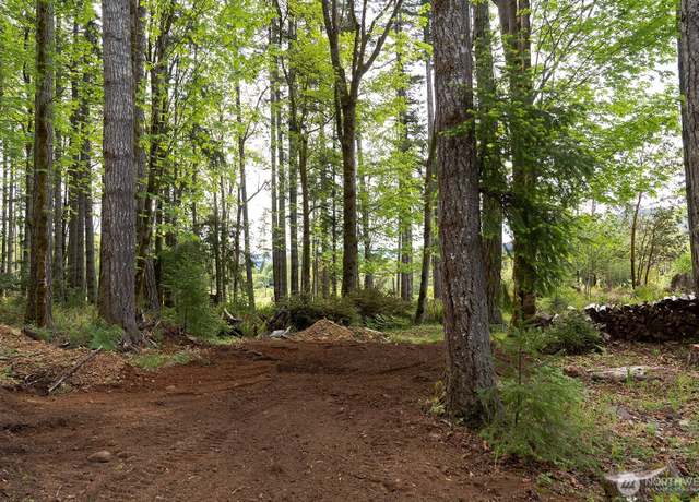 Property at 331 Rocky Brook Rd, Brinnon, WA 98320