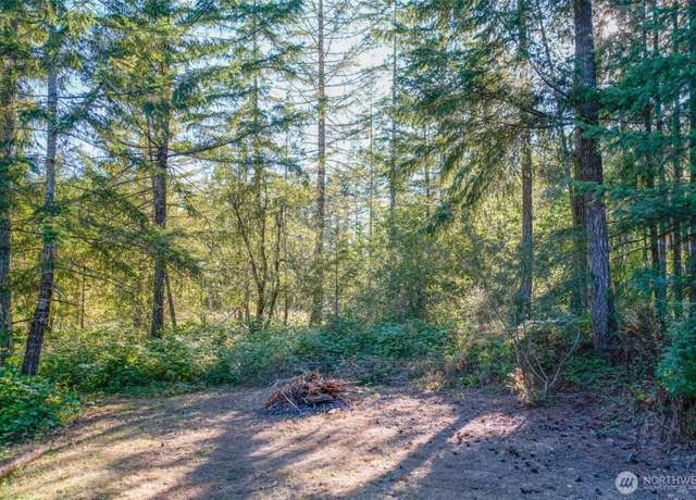 Property at 0 N Silver Ln S, Hoodsport, WA 98548
