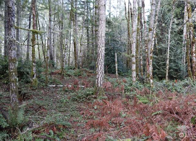 Property at 0 Lackey Rd NW, Vaughn, WA 98394