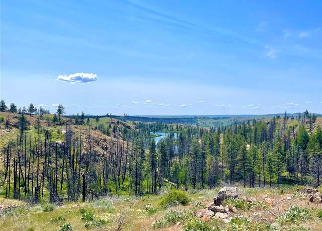 Property at 0 TBD Madd Mtn Rd, Okanogan, WA 98840