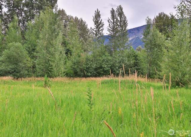 Property at 0 NNA Lake Wenatchee Hwy, Lake Wenatchee, WA 98826