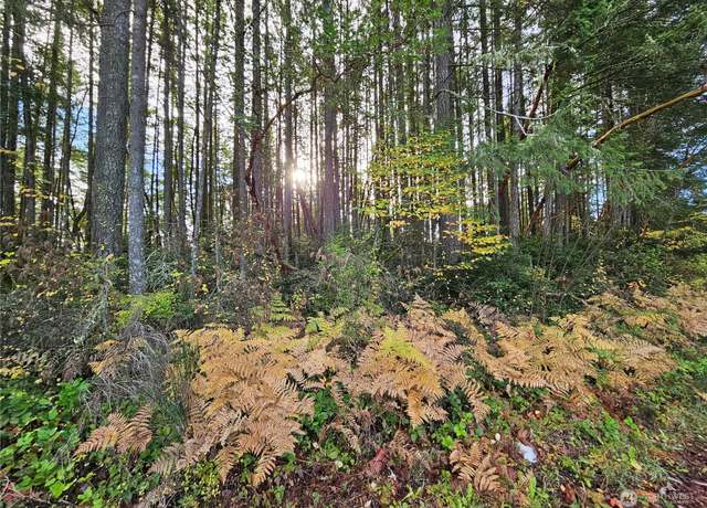 Property at 0 NE Larson Lake Rd, Belfair, WA 98528