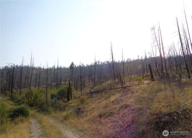 Property at 19 Lot Red Feather Rd, Riverside, WA 98849