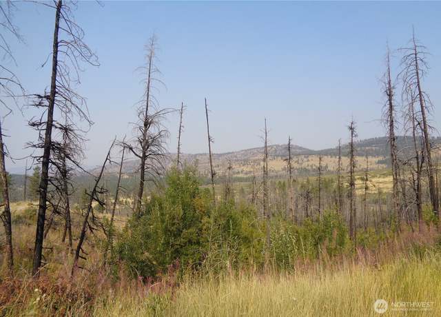 Property at 18 Lot Red Feather Rd, Riverside, WA 98849