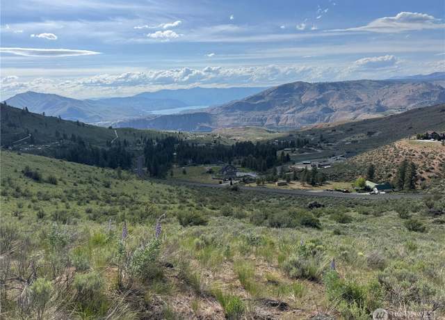 Property at 0 Lot 9 Div III, Orondo, WA 98834