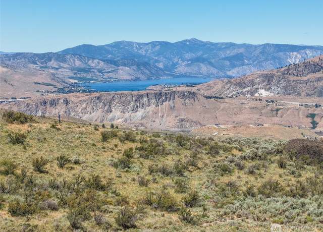 Property at 0 Lot 9 Div III, Orondo, WA 98834