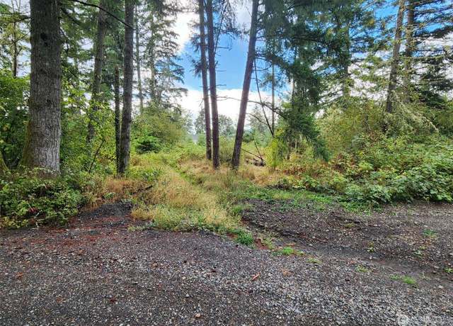 Property at 11736 Vail Cut Off Rd SE, Rainier, WA 98576