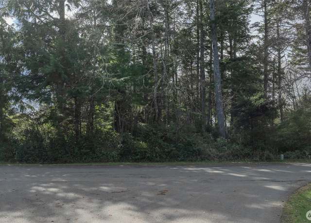 Property at 699 Chenois Ave NE, Ocean Shores, WA 98569