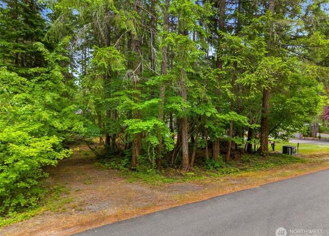 Property at 0 xx N Mountain View Dr, Hoodsport, WA 98548