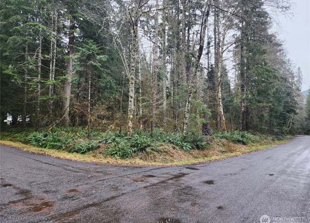 Property at 56519 380 Avenue Ct E, Ashford, WA 98304