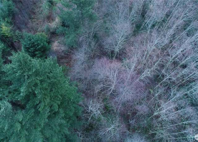 Property at 0 N 2nd St, Morton, WA 98572
