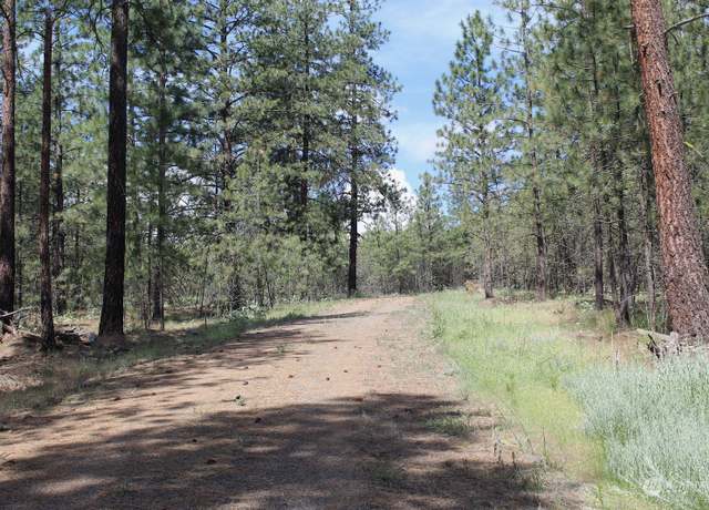 Property at 0 Lot 4 Badger Sontag Rdg E, Davenport, WA 99122