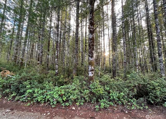 Property at 0 Dewatto Hls, Tahuya, WA 98588