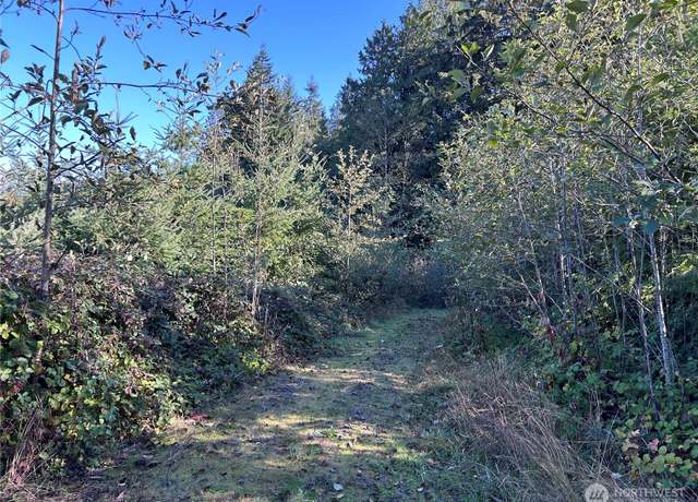 Property at 0 NKA Mt Brynion Rd, Kelso, WA 98626