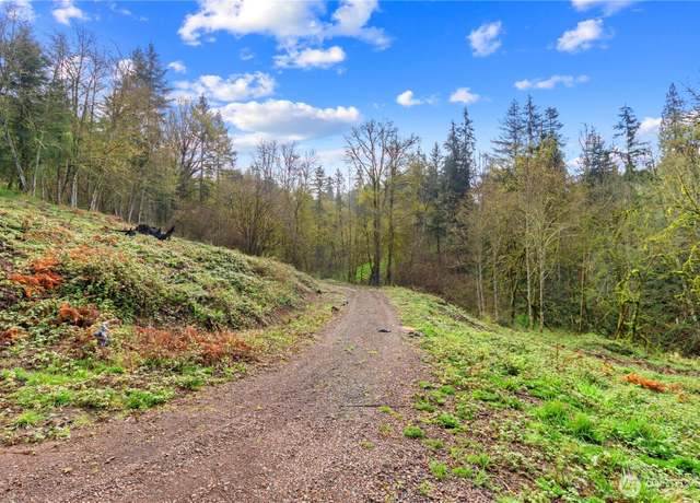 Property at 183 Feather Ridge Dr, Woodland, WA 98674