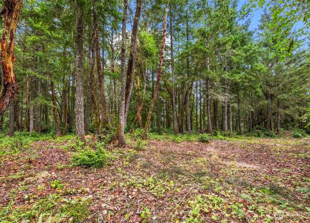 Property at 17420 74th St NW, Vaughn, WA 98394