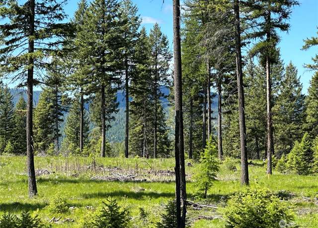 Property at 0 Lot 8 Sheridan Rd, Republic, WA 99166