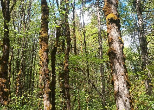 Property at 839 Lot 19 Cline Rd, Randle, WA 98977