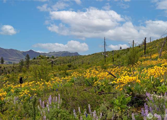 Property at 70 TBD Hill Dr, Twisp, WA 98856