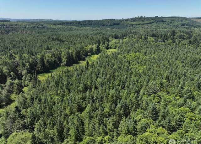 Property at 0 SR 508, Onalaska, WA 98570