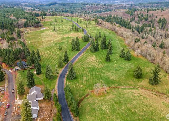 Property at 0 Lot T Birchfield Cmns, Onalaska, WA 98570