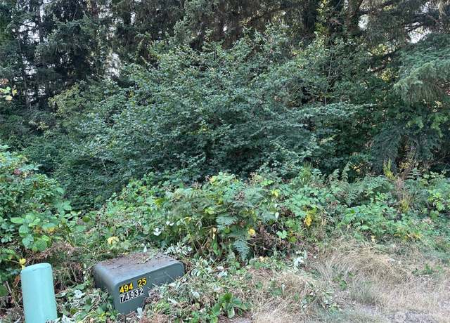 Property at 0 Lot 28 NE Wanda Ct, Belfair, WA 98528