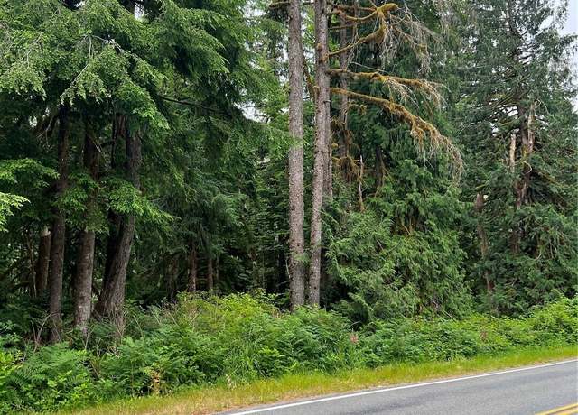 Property at 0 Mountain Loop Hwy, Granite Falls, WA 98252